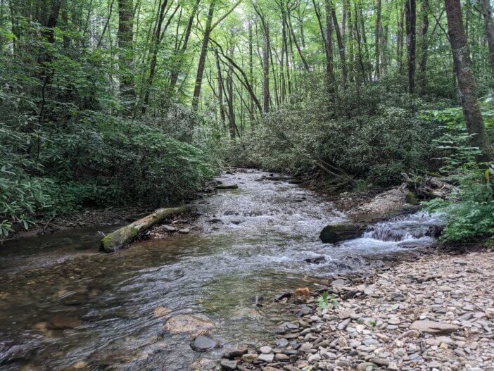 Chattahoochee River near the Headwaters