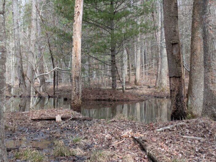 Old Beaver Lodge