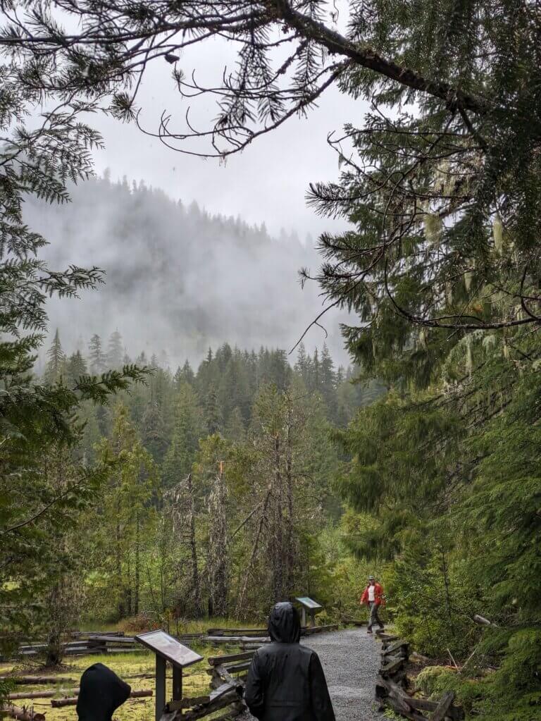 Walking on the Longmire Trail in Mount Rainier National Park