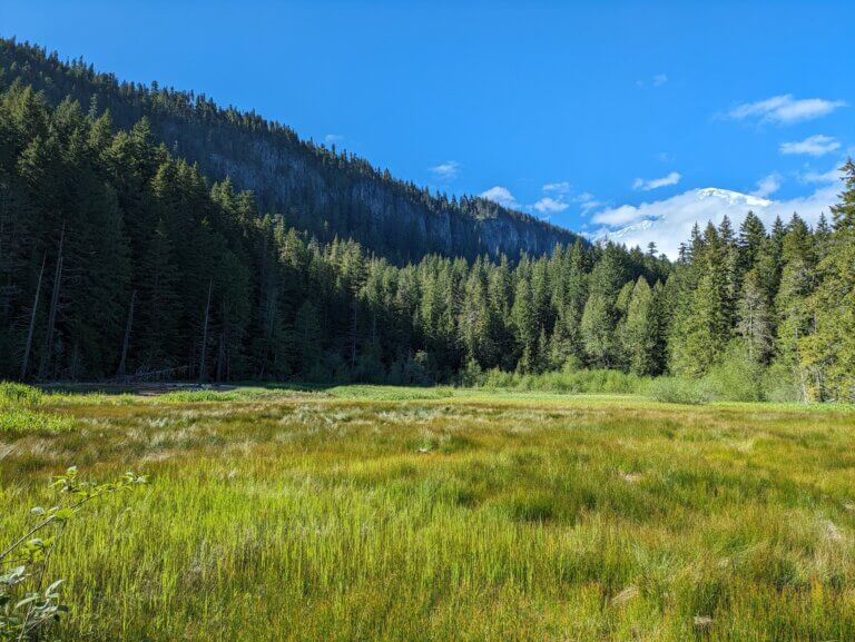 Longmire Meadows in Mount Rainier National Park.