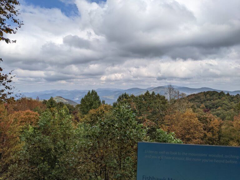 North View from Rabun Bald