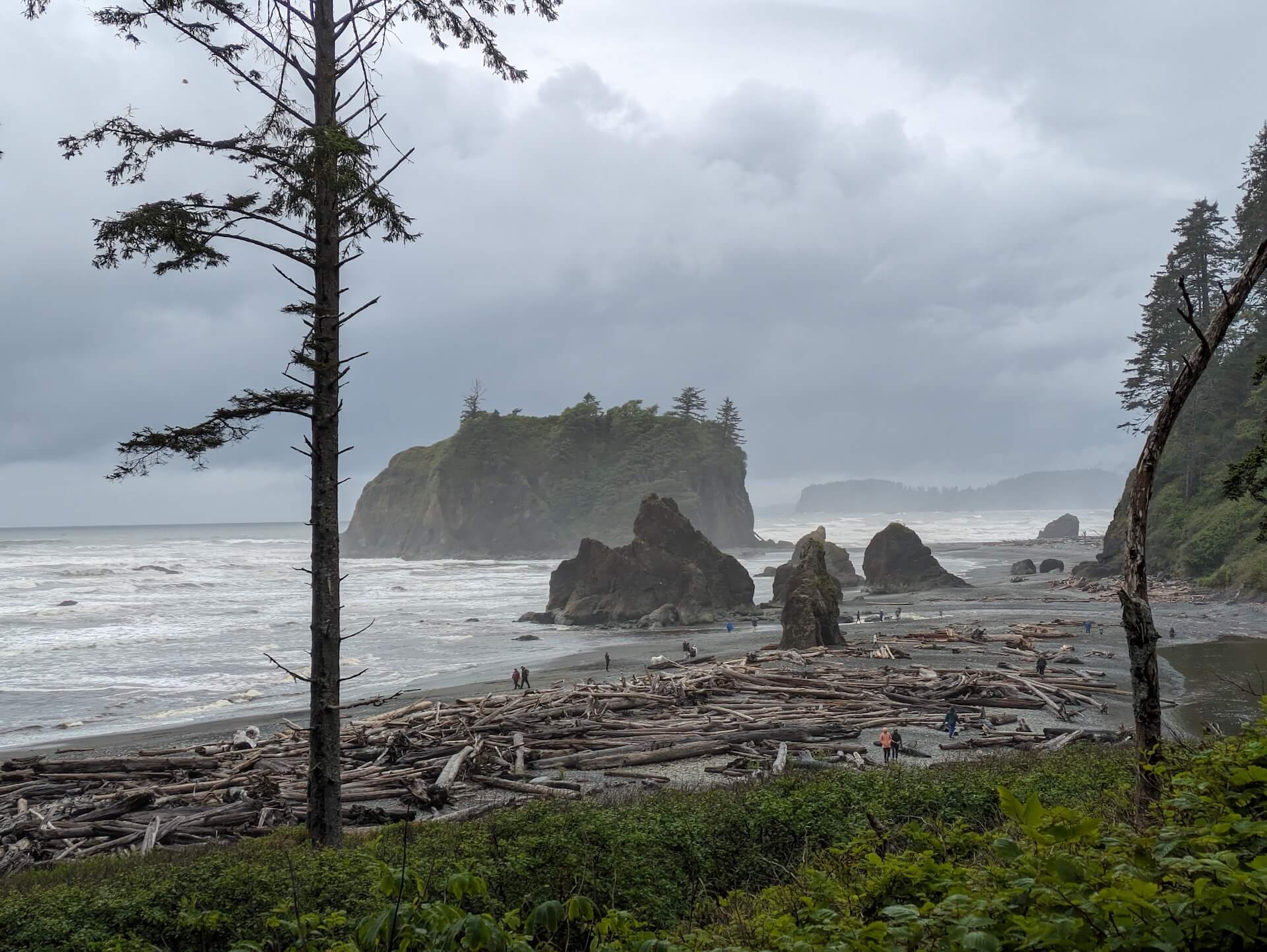 Ruby Beach at Olympic National Park 1