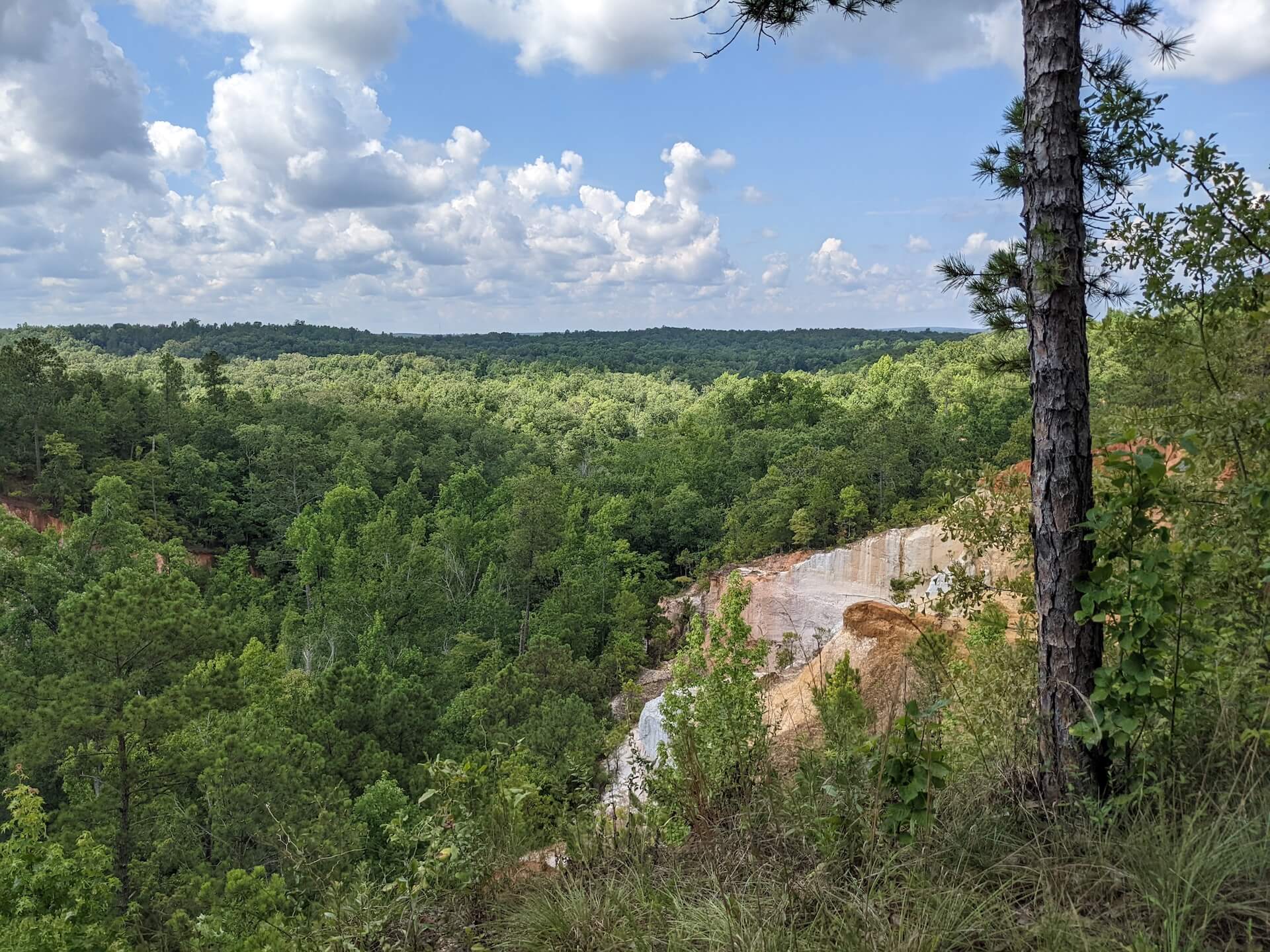 Overlook at Providence Canyon State Park 1