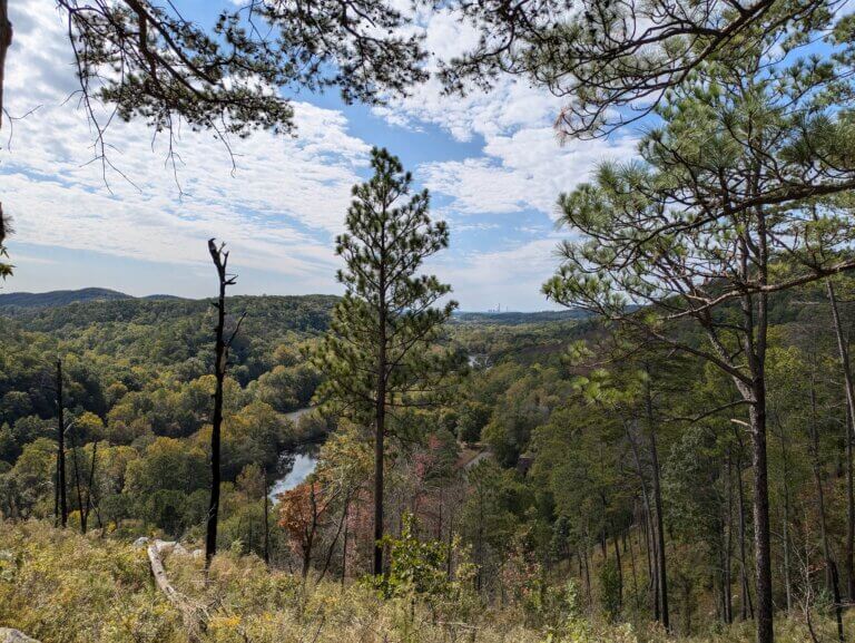 Etowah River Looking Towards Cartersville