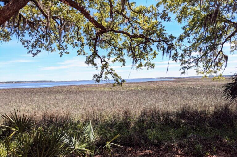 Marsh at Fort Morris State Historic Site