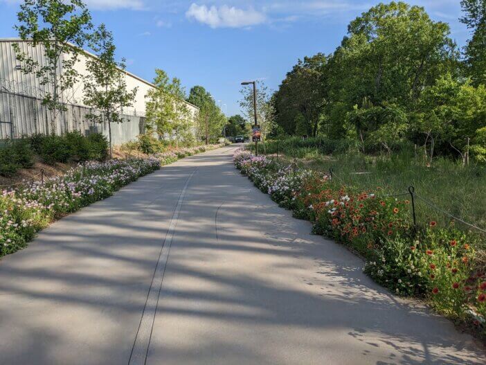 Flowers on the Beltline