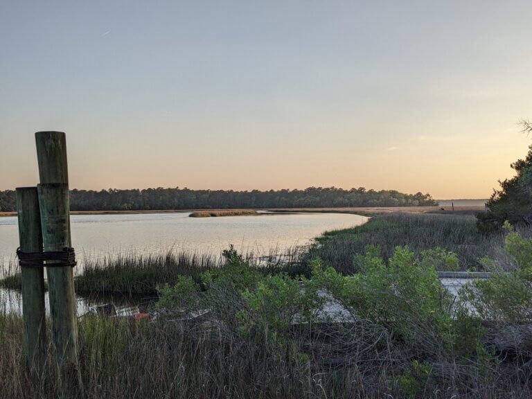 Red Creek at Fort McAllister State Park
