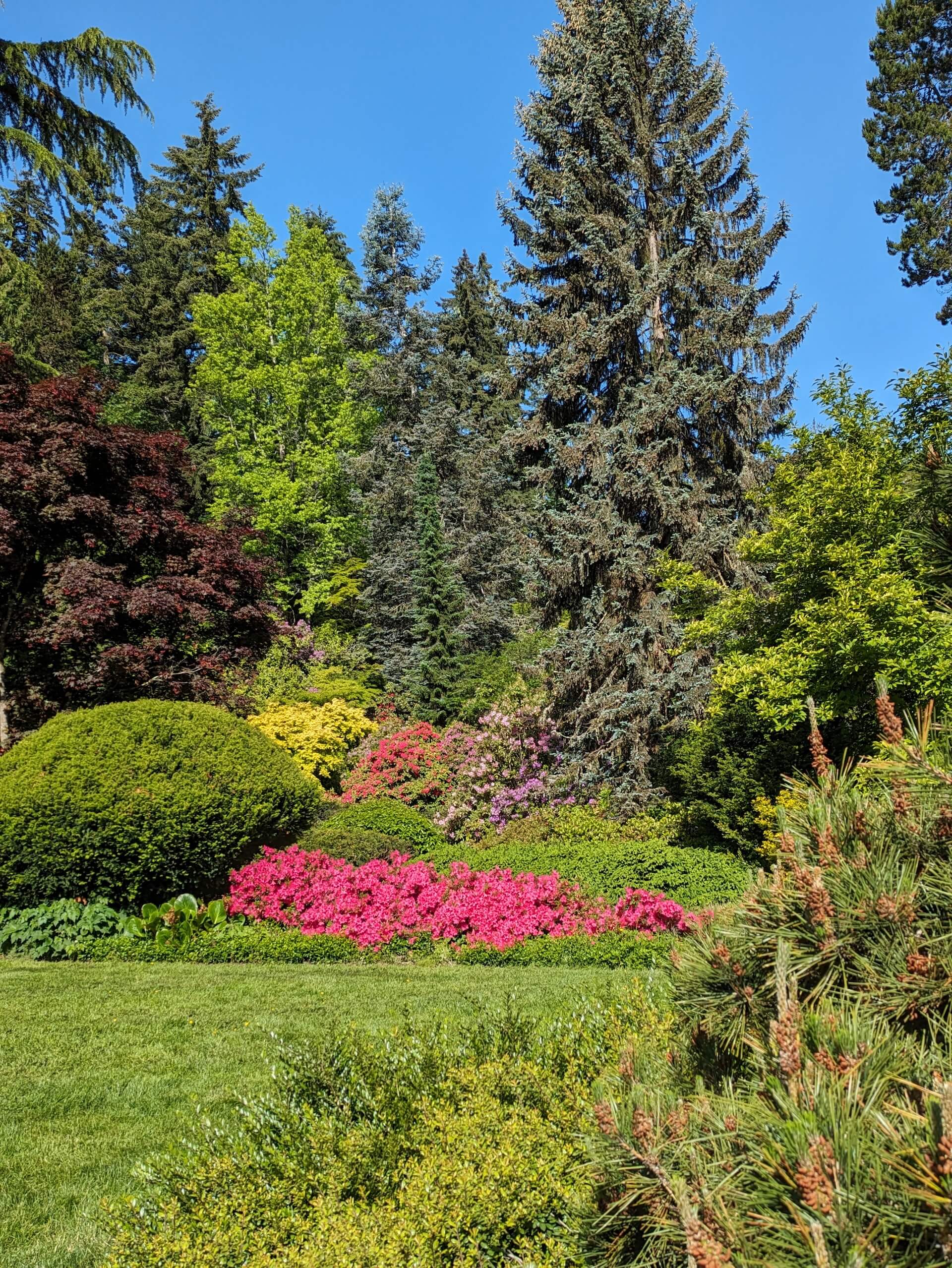 Kubota Park in Seattle, Washington 1