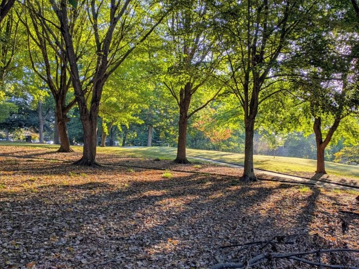 Grant Park, Atlanta on an autumn morning