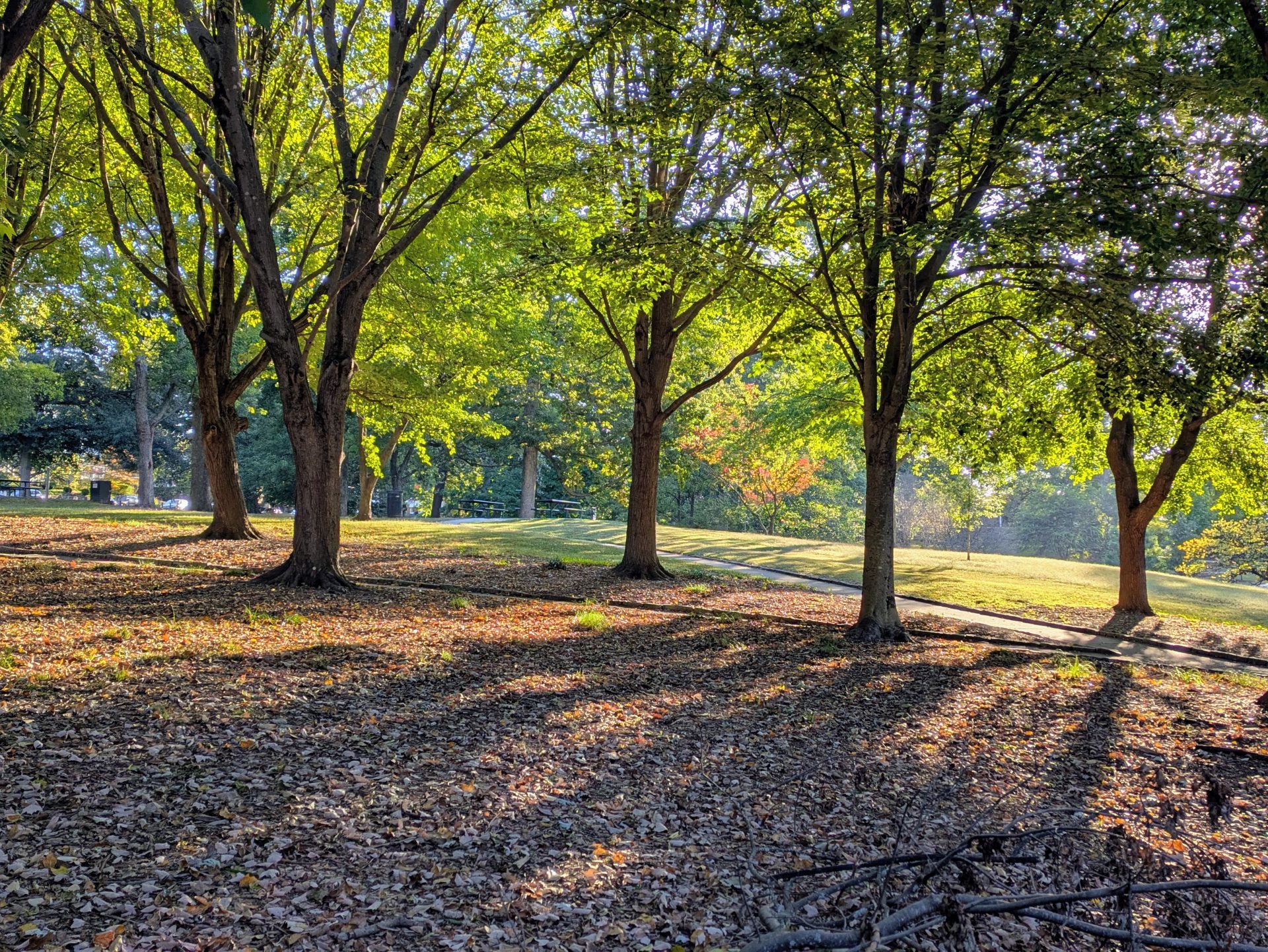 Grant Park, Atlanta on an autumn morning