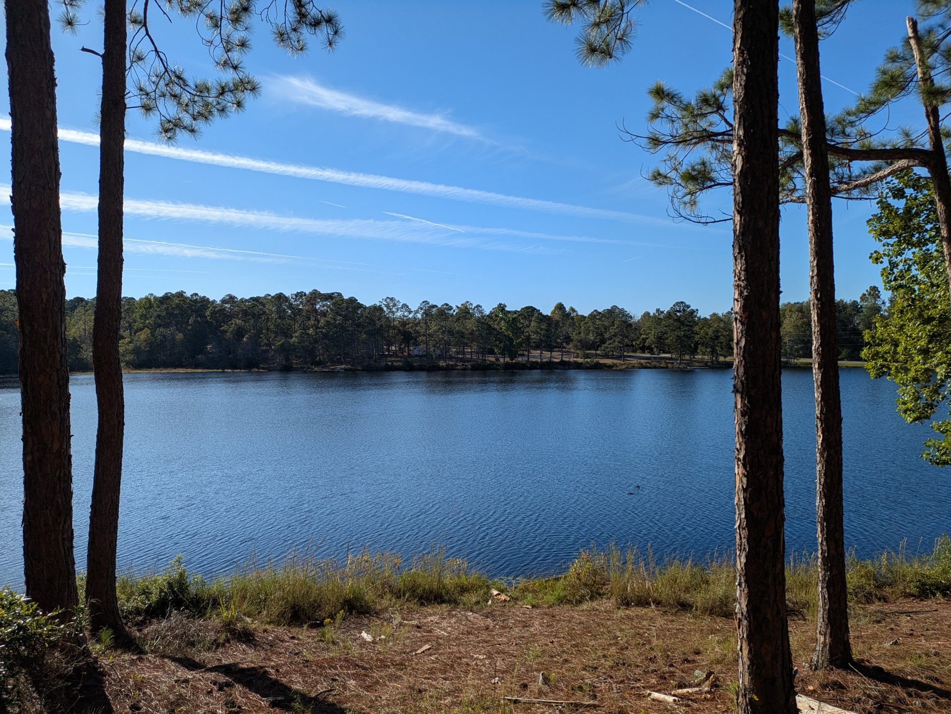 Lake at Jack Hill State Park