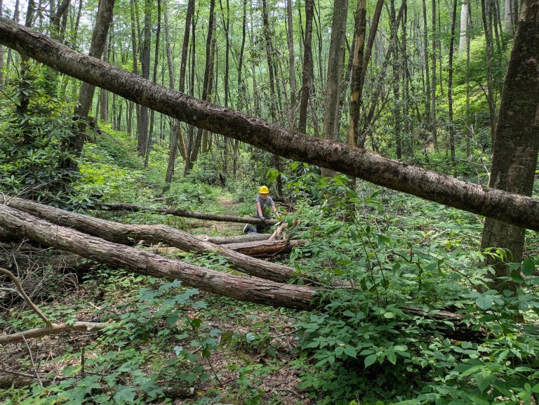 Blowdown Before