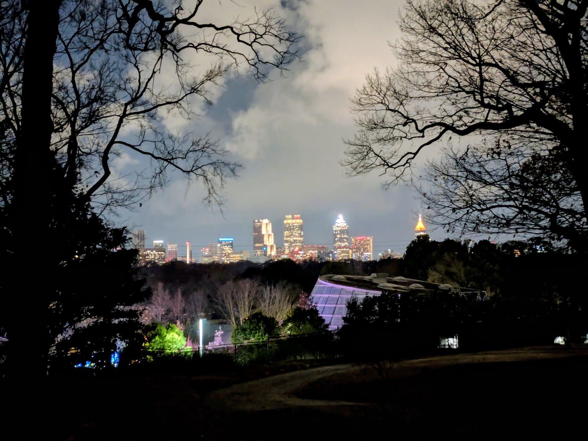 Atlanta's Night Skyline from Fort Walker