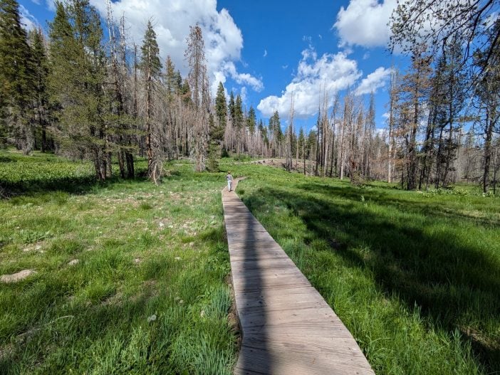 Boardwalk at Lassen Volcanic National Park