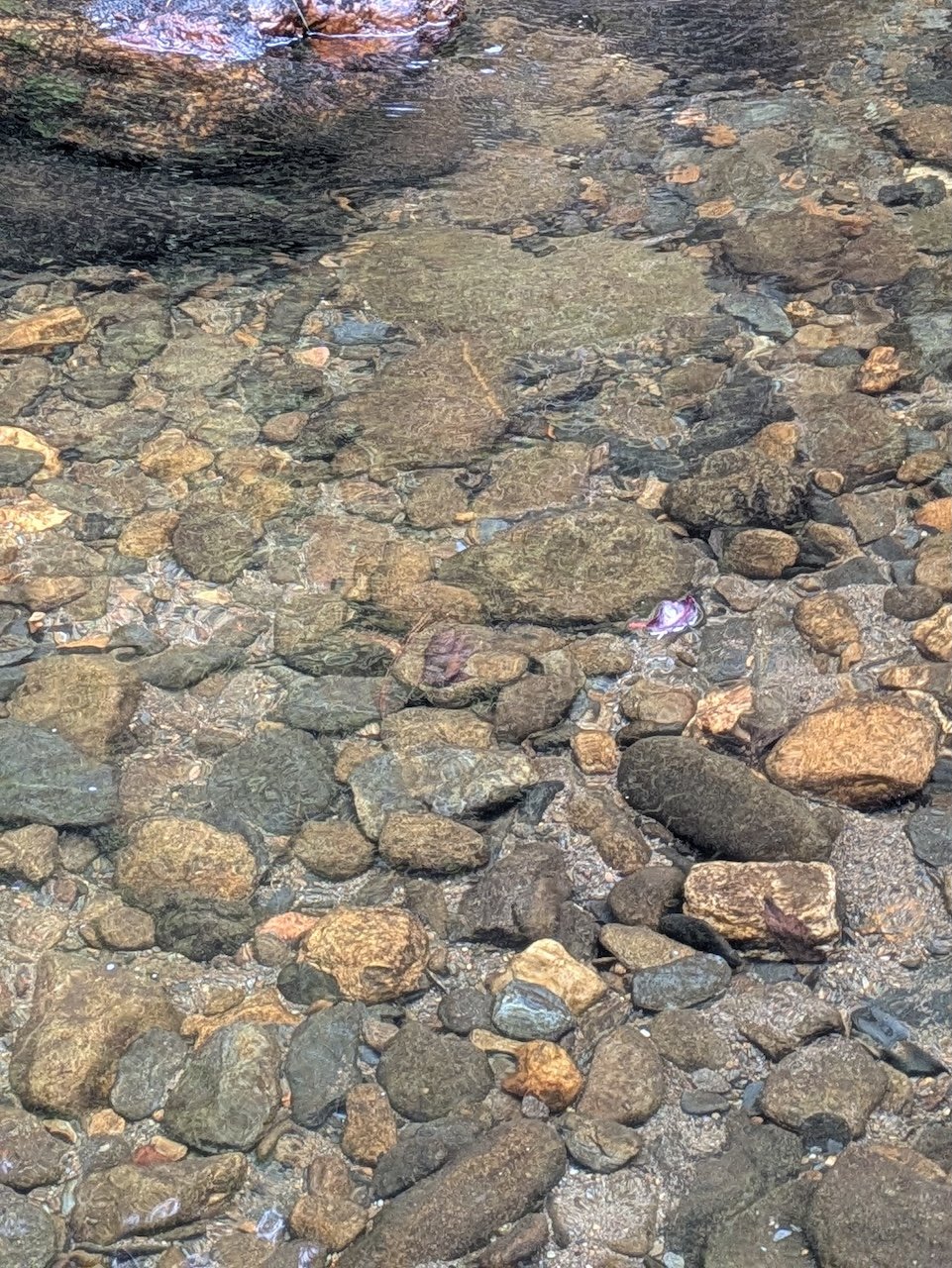 Clear Conasauga River