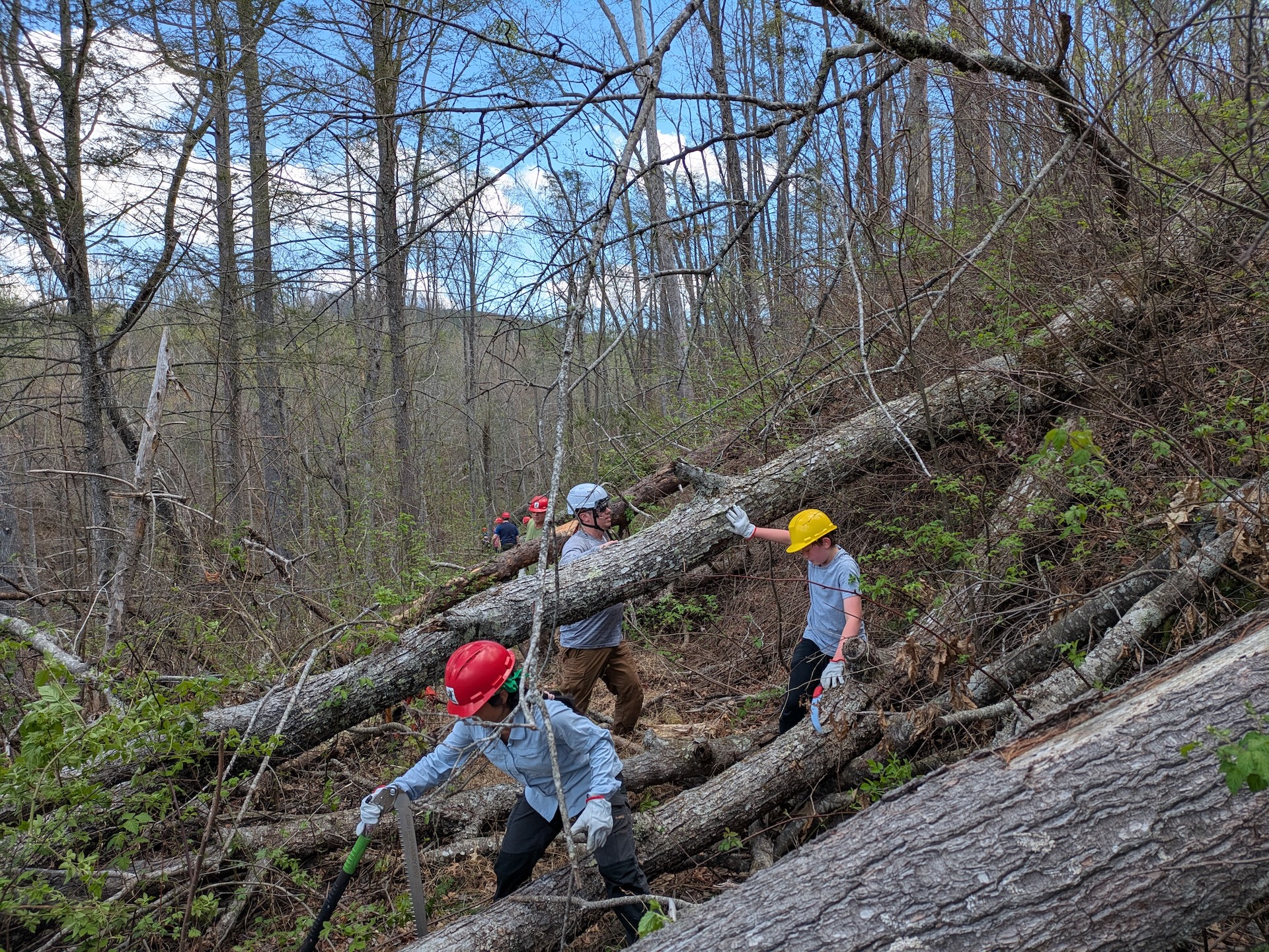 Cohutta Wilderness Trail Crew Work on Hickory Creek Trail