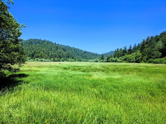 Elk Meadow at Redwood National Park