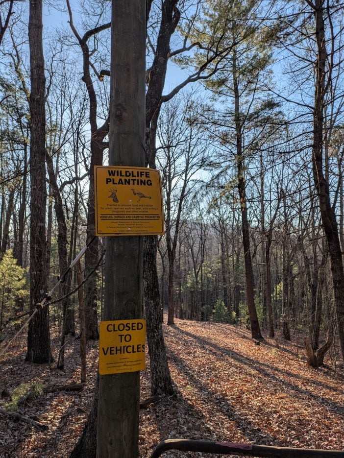 Georgia Department of Natural Resources Wildlife Planting