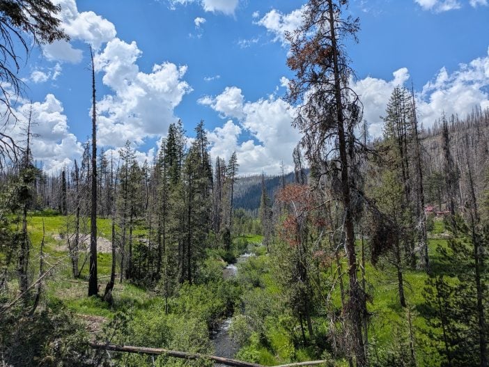 Lassen Volcanic National Park after Dixie Fire