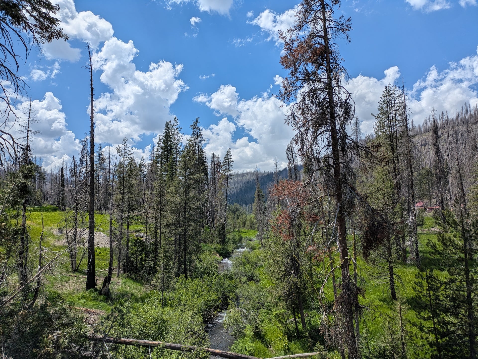 Lassen Volcanic National Park after Dixie Fire