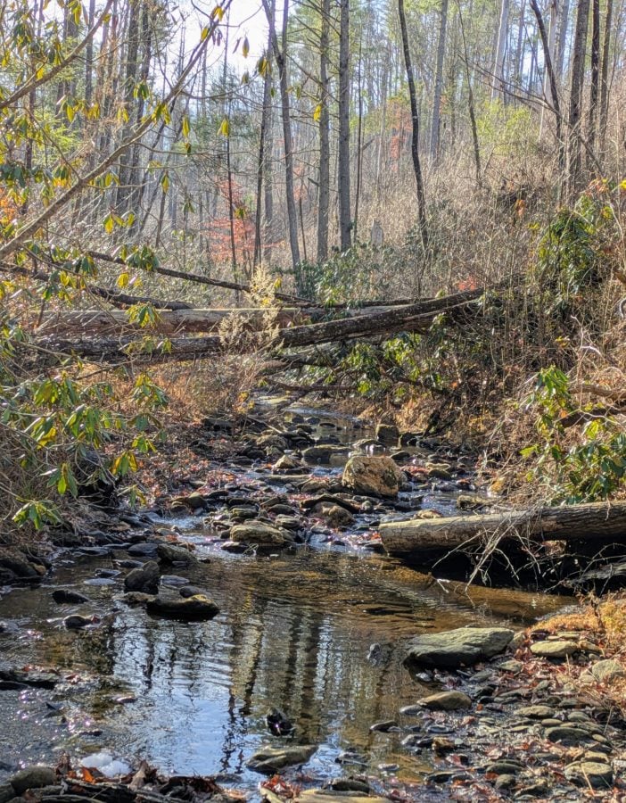Rice Camp Branch in the Cohutta Wilderness
