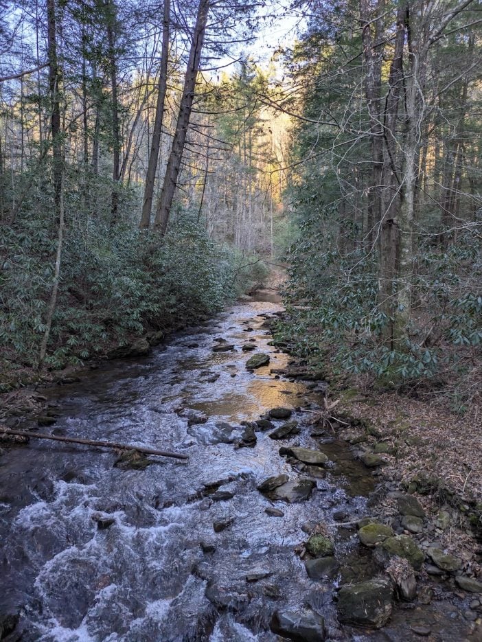 Southern Appalachian Stream
