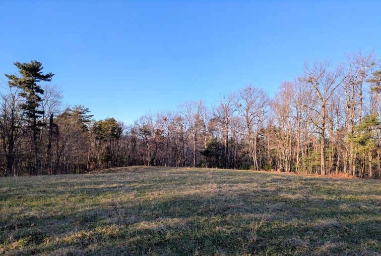 Wildlife Clearing on an old Appalachian Bald