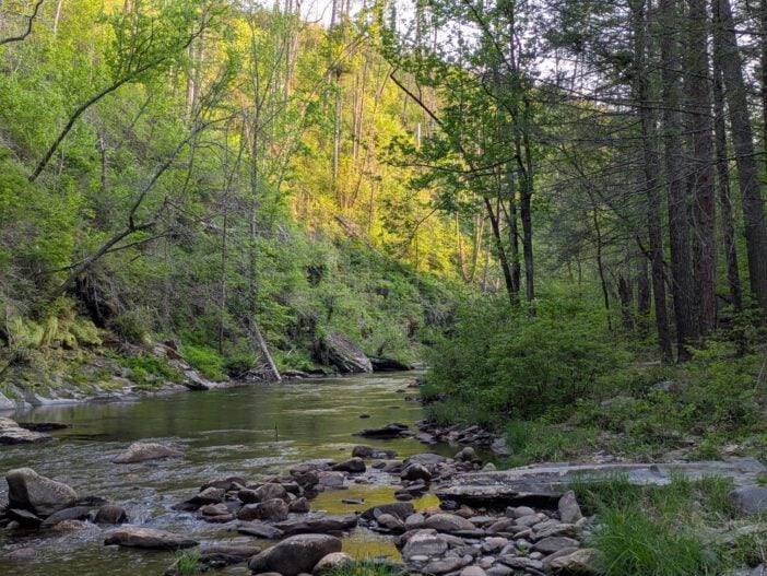 Conasauga Riverbend