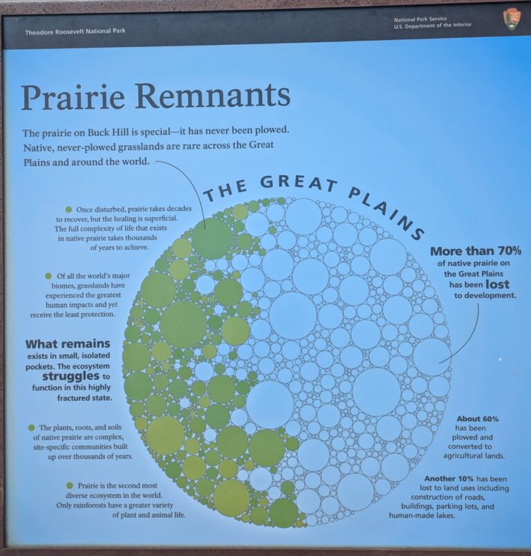 Prairie Remnants