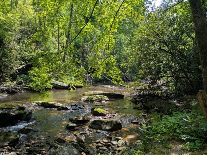 Conasauga River in Summer