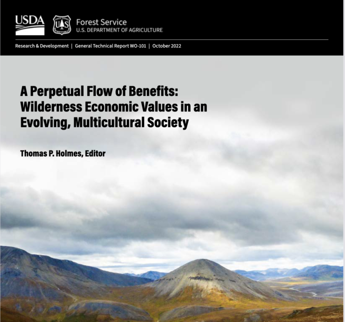 Wilderness Economic Values