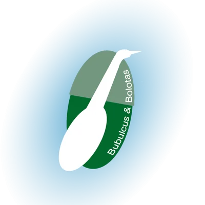 Bubulcus & Bolotas